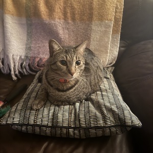 Fundraising Page: Brianna Schewe